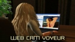 The Web Cam Voyeur