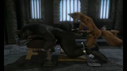 Wolf and Fox