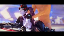 New SFM GIFS October 2018 Compilation 2