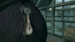The sexy mares of the horse farm